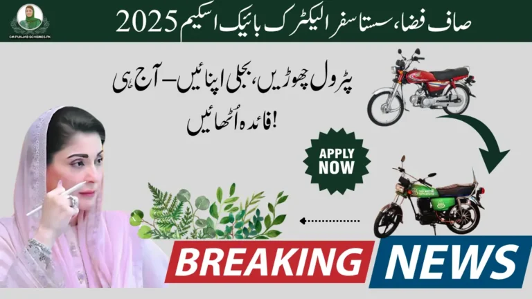 Punjab E-Bike Scheme 2025: Get Rs. 100K to Convert Your Petrol Bike to Electric! 3 Punjab E-Bike Scheme