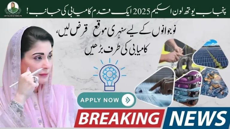CM Punjab Youth Loan Scheme 2025: Full Guide to Apply & Unlock Your Dreams 5 Punjab Youth Loan Scheme