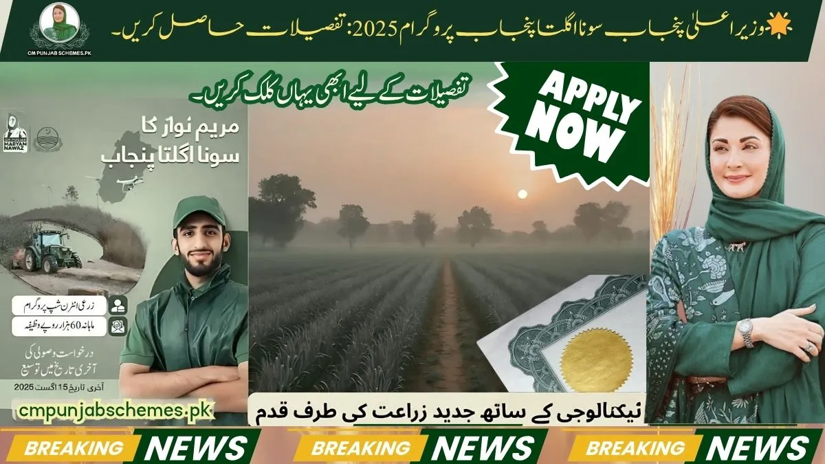 Golden Fields: How the Sona Ugalta Punjab Program 2025 Sparks hope 1 Sona Uglata Punjab Program 2025
