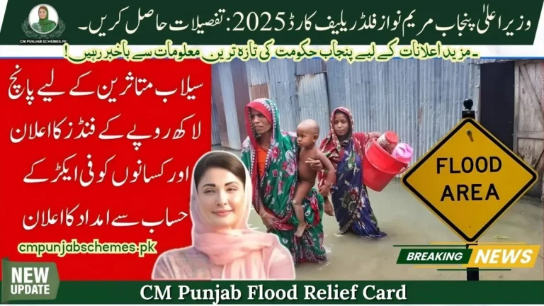 Punjab's Game-Changer: CM Flood Relief Card 2025 Brings Hope to Millions 8 CM Flood Relief Card 2025 by CM Maryam Nawaz