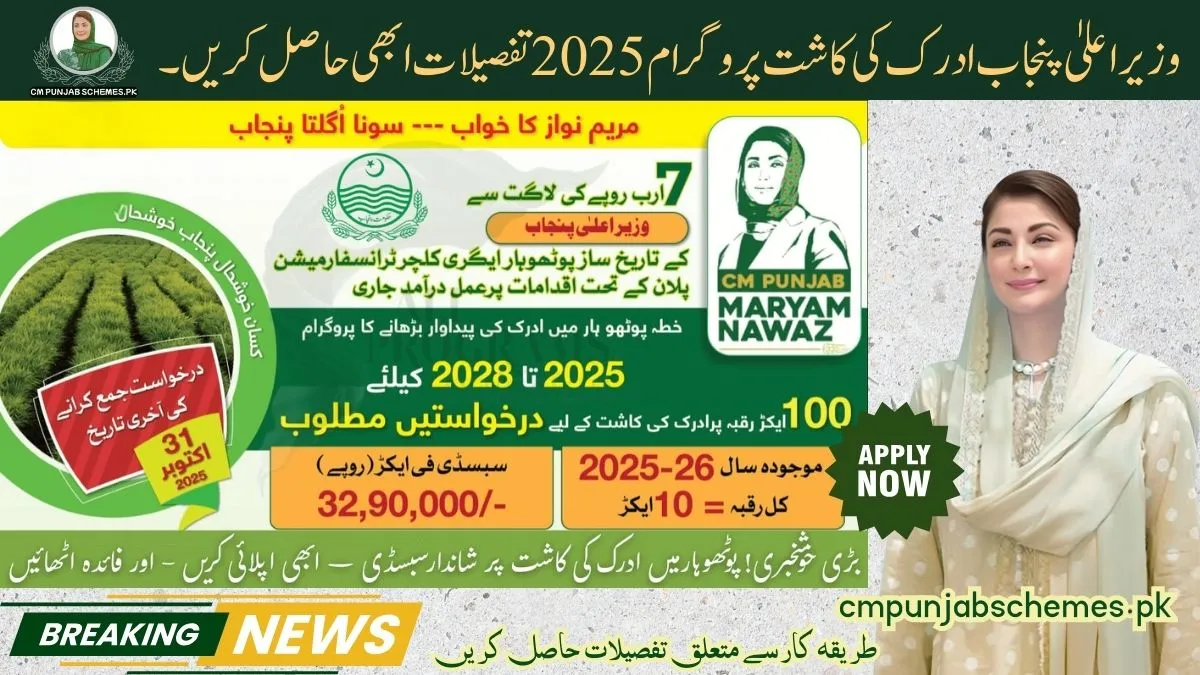 Punjab's Golden Ginger Revolution: Rs3.29 Million Per Acre Subsidy Announced 1 CM Punjab Ginger Cultivation Program 2025