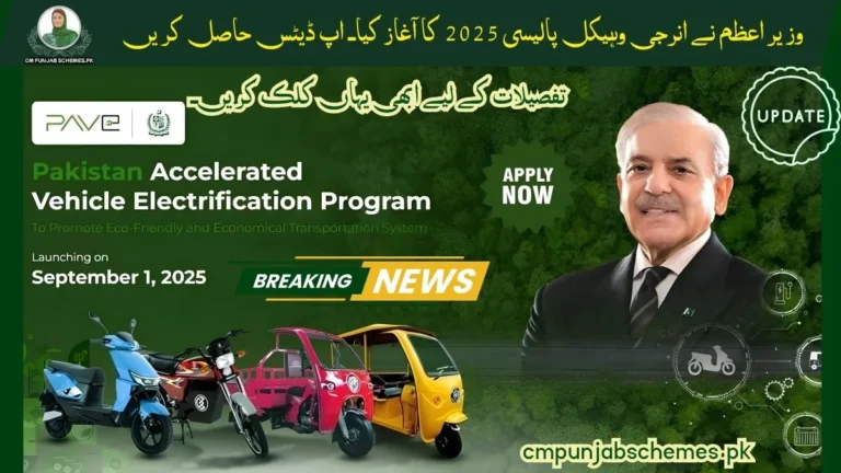 Pakistan's Electric Revolution: PM Launches Game-Changing Energy Vehicle Policy 2025 4 PM Energy Vehicle Policy 2025ย