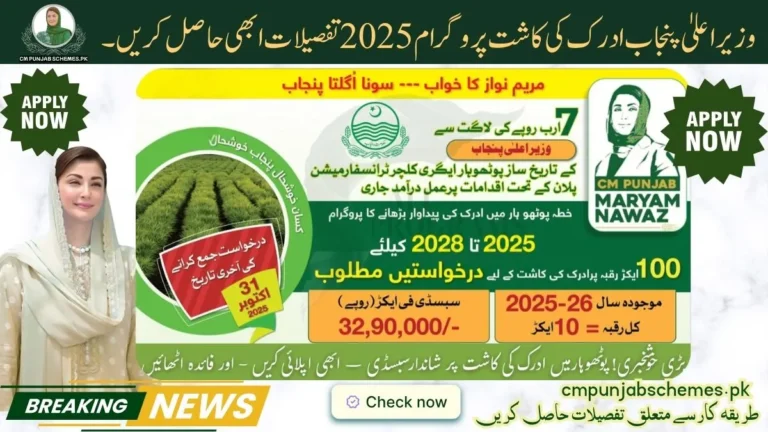 CM Ginger Cultivation Program 2025 : Detailed Application Guidelines! 6 Punjab CM Ginger Cultivation Program 2025