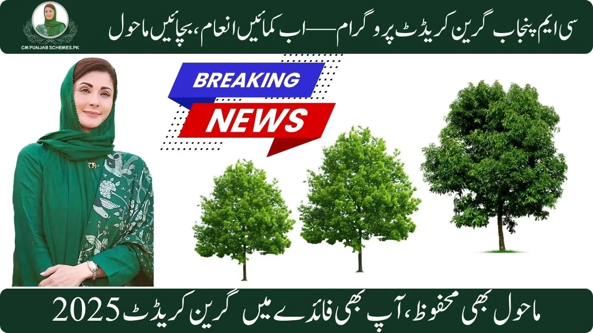 CM Punjab Green Credit Program 2025 – A Step Toward a Greener, Rewarding Future 1 CM Punjab Green Credit Program 2025