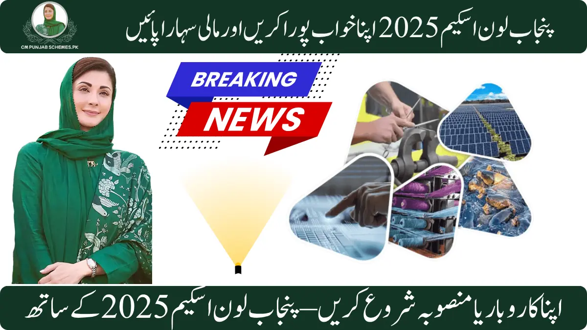 Cm Punjab Loan Scheme 2025 : Complete Guide On Application Process 1 Punjab Loan Scheme